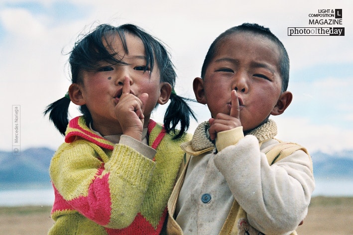 Silence Pact, by Mercedes Noriega