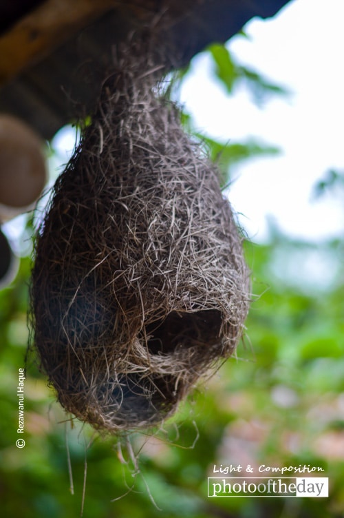 Home, by Rezawanul Haque Home, by Rezawanul Haque