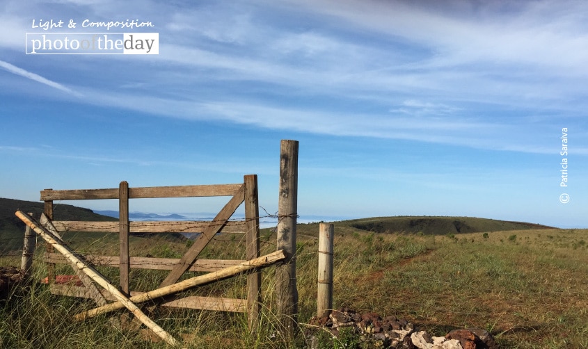 The Other Side of the Gate, by Patricia Saraiva