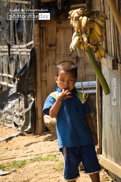 The Curiosity Towards Strangers, by Tanmoy Saha The Curiosity Towards Strangers, by Tanmoy Saha
