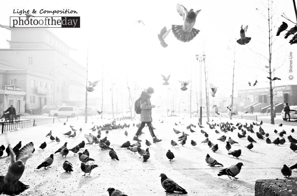 Cold, by Shirren Lim Cold, by Shirren Lim