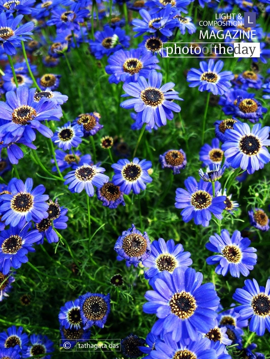 Valley of Haven, by Tathagata Das Valley of Haven, by Tathagata Das