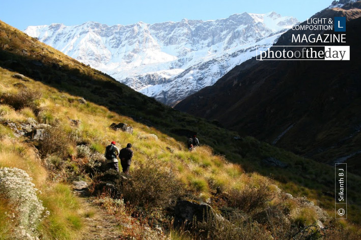 A Walk in the Paradise, by Srikanth B J