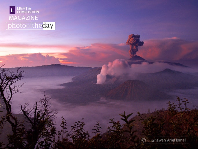 For a Glimpse of Heaven For a Glimpse of Heaven