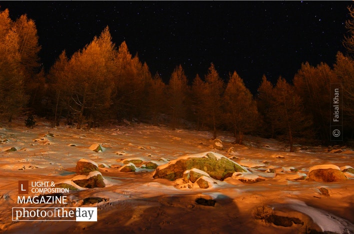 For Another Day, for Another Life For Another Day, for Another Life