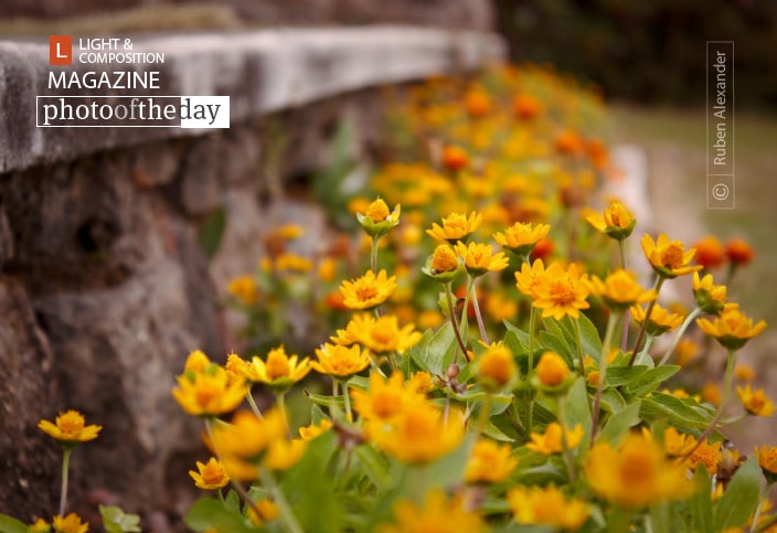 Just Like That, by Ruben Alexander