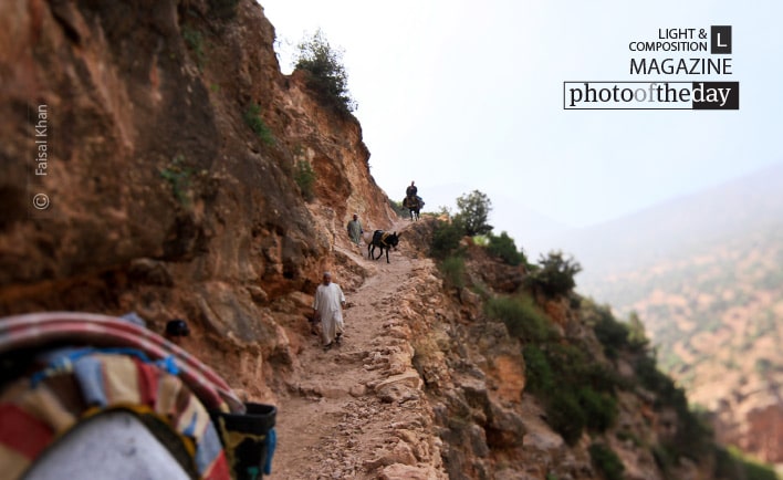 The Path, by Faisal Khan