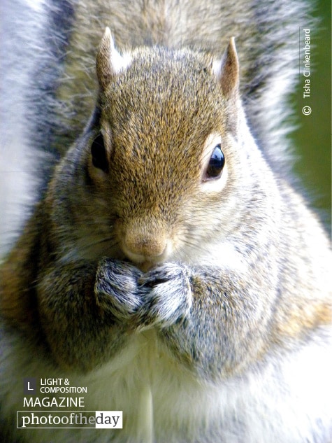 Just Snackin', by Tisha Clinkenbeard