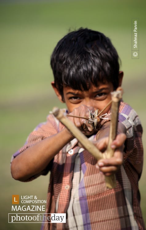 About to Hunt, by Shahnaz Parvin