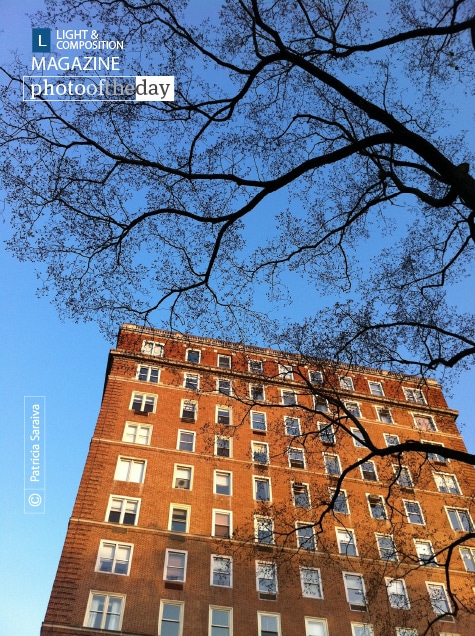 Balconies of Barcelona, by Patricia Saraiva