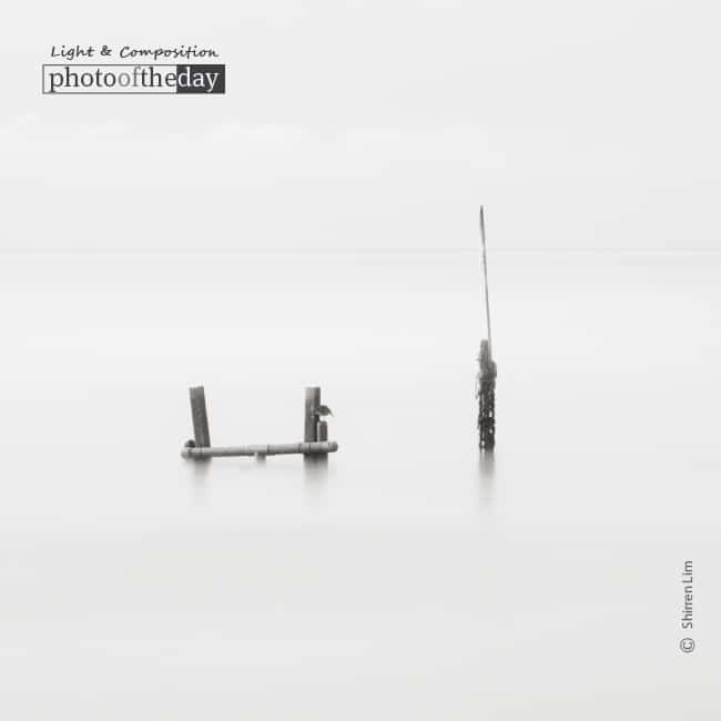 . . . And the Bird Makes Four, by Shirren Lim . . . And the Bird Makes Four, by Shirren Lim