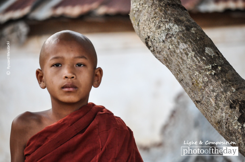 Neophyte, by Ryszard Wierzbicki Neophyte, by Ryszard Wierzbicki