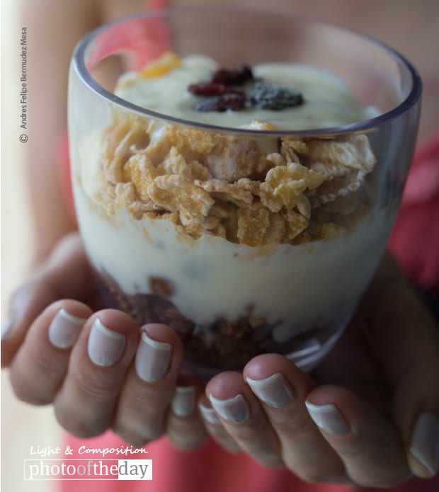 In a Sweet Harmony, by Andres Felipe Bermudez Mesa