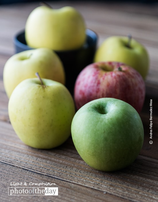 Live Your Life Ecologically, by Andres Felipe Bermudez Mesa