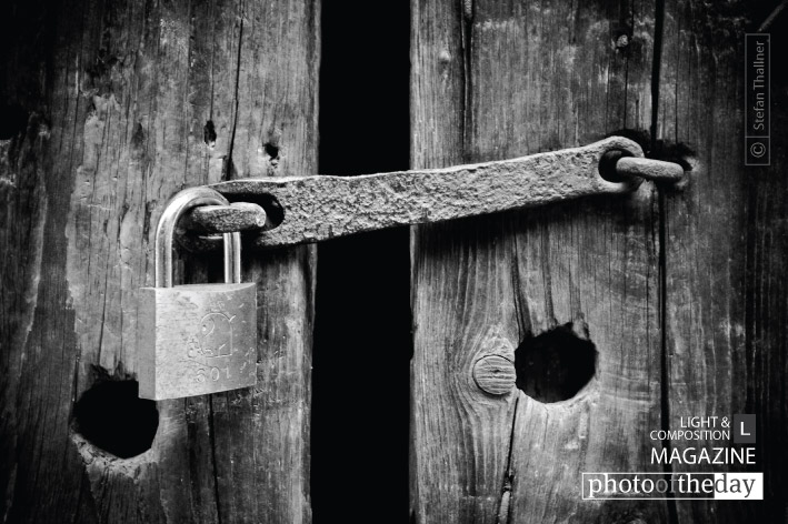 The Forbidden Beauty