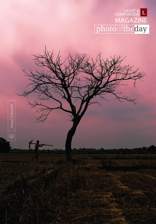 Under the Twilight Sky, by Tamal Debnath