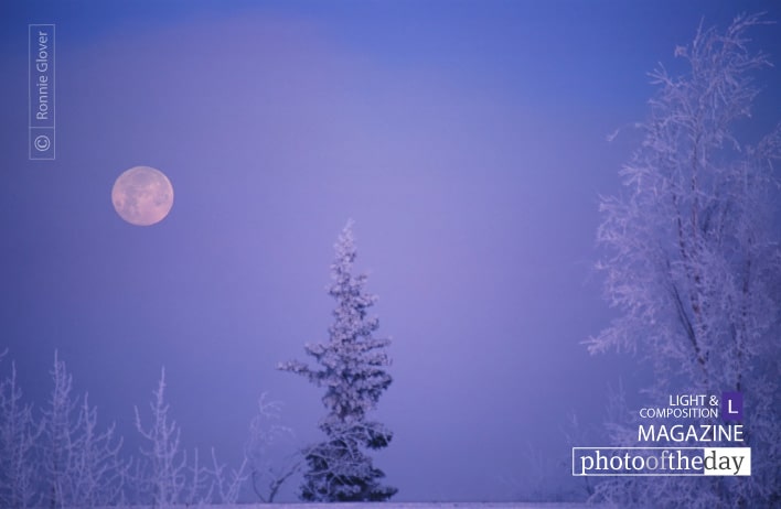 Frosty Moon, by Ronnie Glover