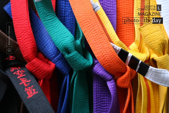 Journey through the Martial Arts, by Ronnie Glover