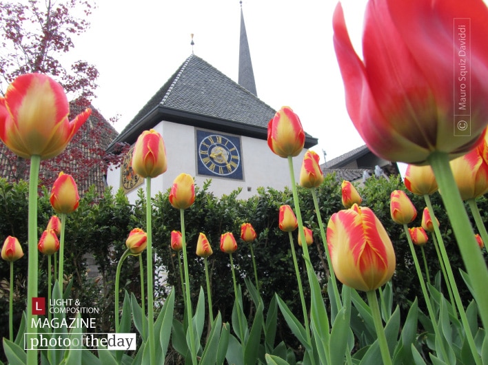 Lagundo, by Mauro Squiz Daviddi Lagundo, by Mauro Squiz Daviddi