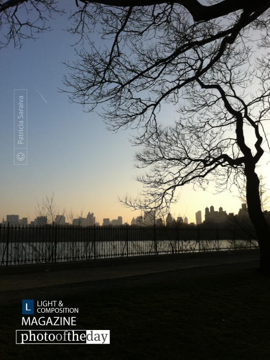Sunset in Central Park, by Patricia Saraiva