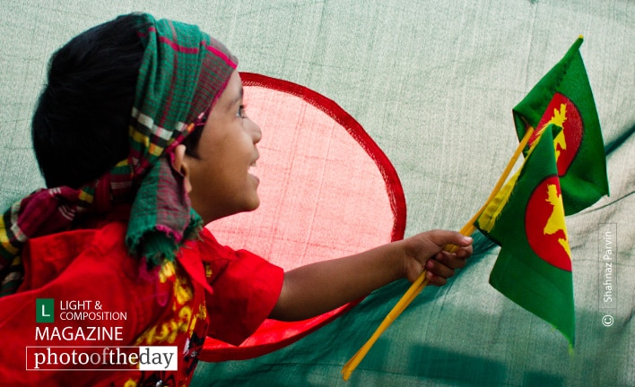 Joy of Independence, by Shahnaz Parvin