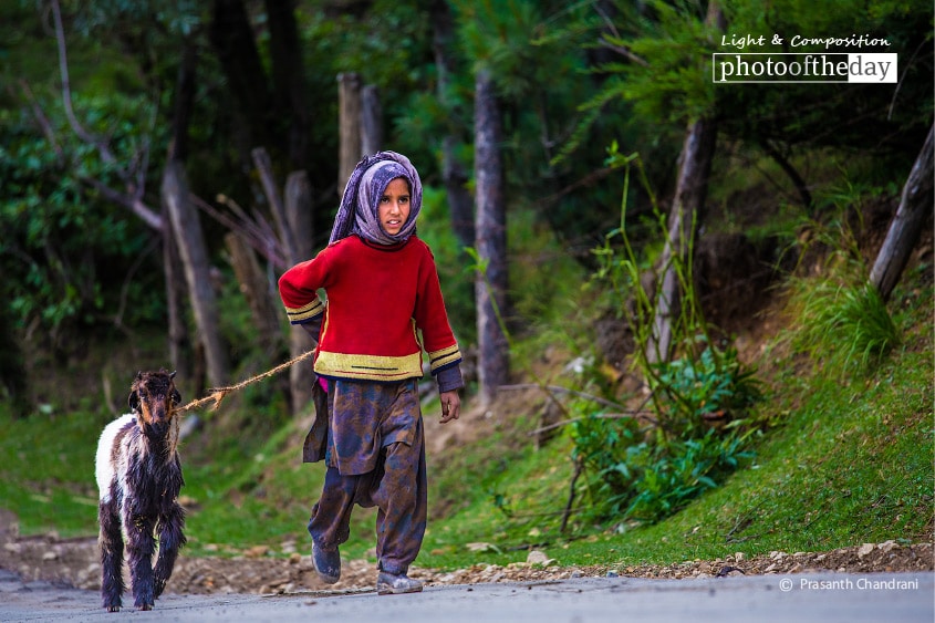 She Got a Friend, by Prasanth Chandran She Got a Friend, by Prasanth Chandran