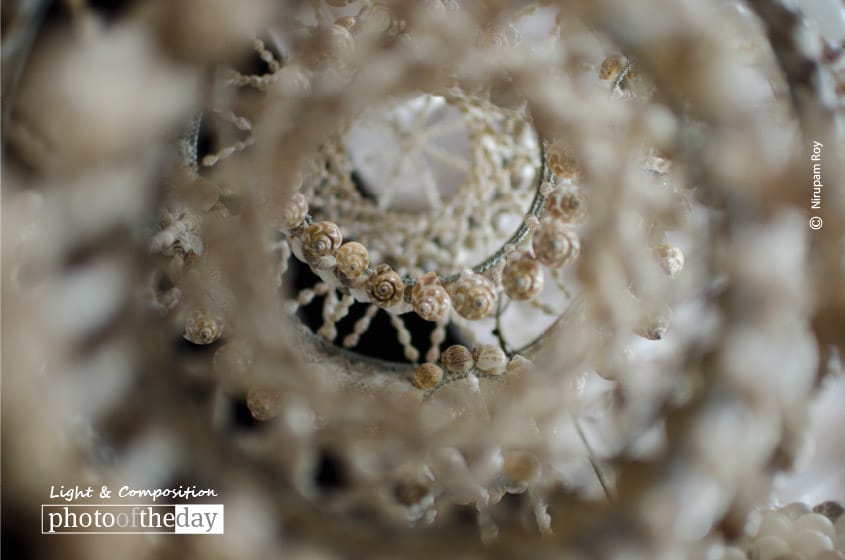 Sea Shell Garland, by Nirupam Roy Sea Shell Garland, by Nirupam Roy