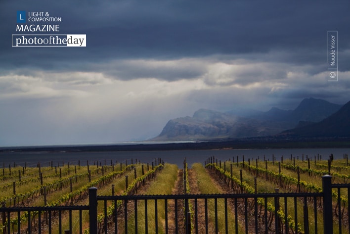 From the Western Cape, by Naude Visser