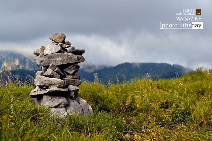 Together We Stand, by Tina Primozic