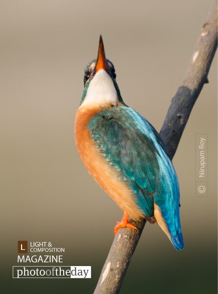 Sky Look, by Nirupam Roy Sky Look, by Nirupam Roy