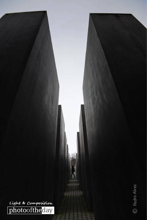 In All Grey, by Pedro Alves