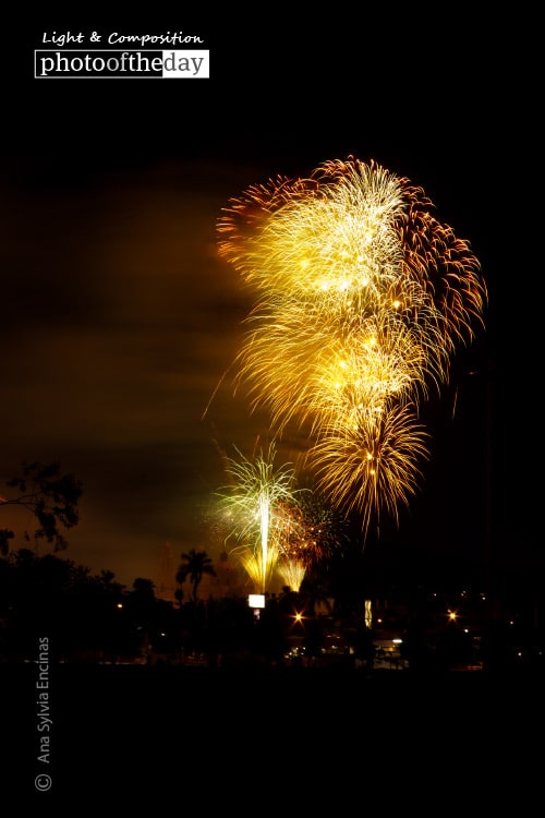 Viva Mexico, by Ana Sylvia Encinas