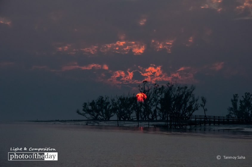 The Sunset at Sundarban, by Tanmoy Saha The Sunset at Sundarban, by Tanmoy Saha