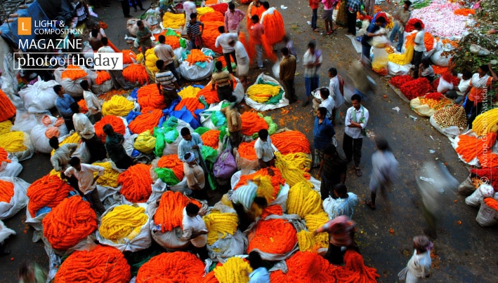 Life with Colors, by Abhiroop Ghosh Life with Colors, by Abhiroop Ghosh