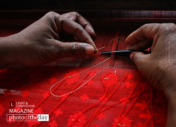 Weaver’s Hand, by Shahnaz Parvin