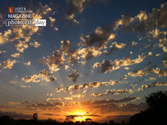 His Glory, by Sara Plukaard