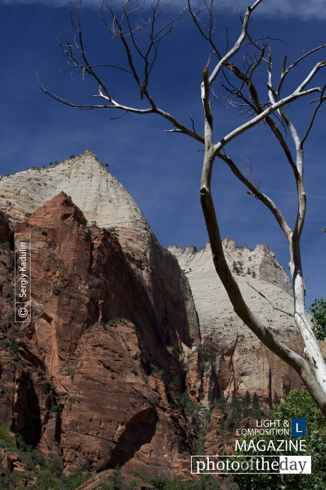 Zion National Park, by Sergiy Kadulin