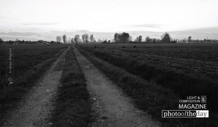 Long Way Home, by Andrea Migliari Long Way Home, by Andrea Migliari