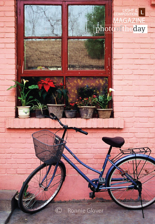 Life in the Hutong, by Ronnie Glover