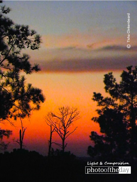 Birthday Sunrise in Texas, by Tisha Clinkenbeard Birthday Sunrise in Texas, by Tisha Clinkenbeard