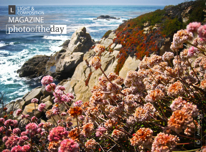 Just off Highway 1, by Anubhav Jain