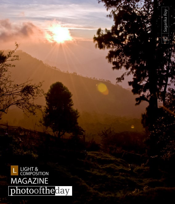 First Light, by Sagarika Roy