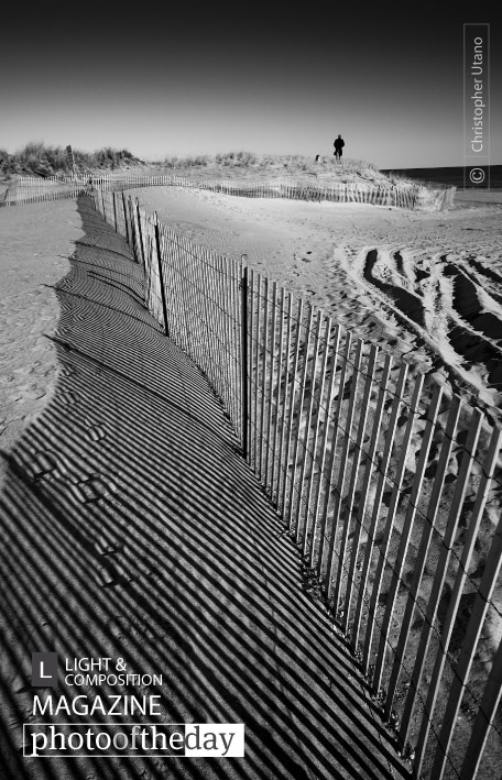 Along the Shore, by Christopher Utano Along the Shore, by Christopher Utano