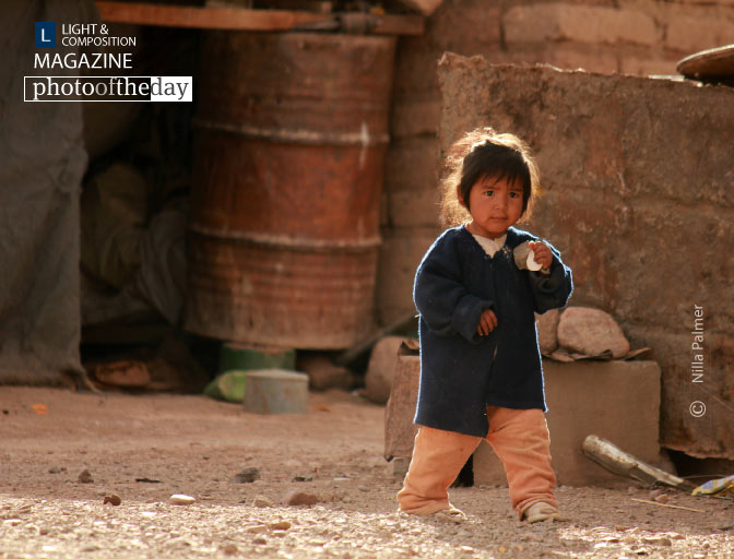 Trepidation, by Nilla Palmer