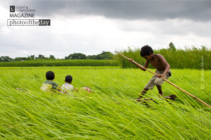 Voyage Through Nature, by Shahnaz Parvin Voyage Through Nature, by Shahnaz Parvin