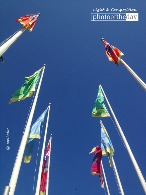 Long May I Wave, by Ann Arthur