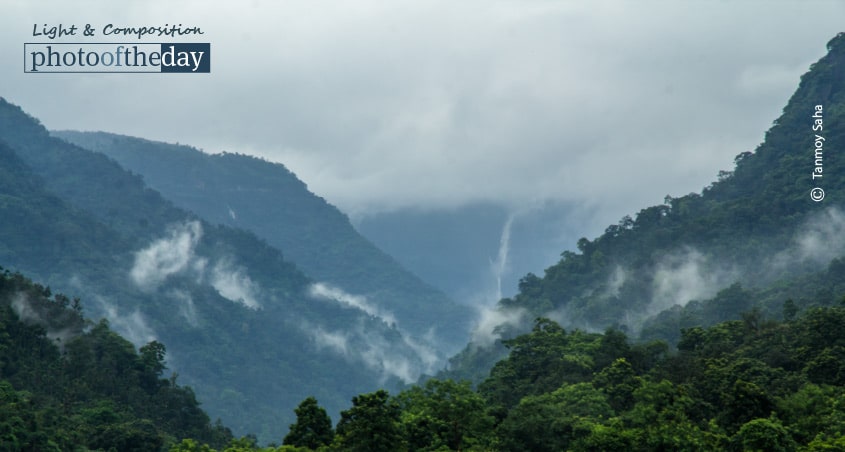 A Pleasant View, by Tanmoy Saha