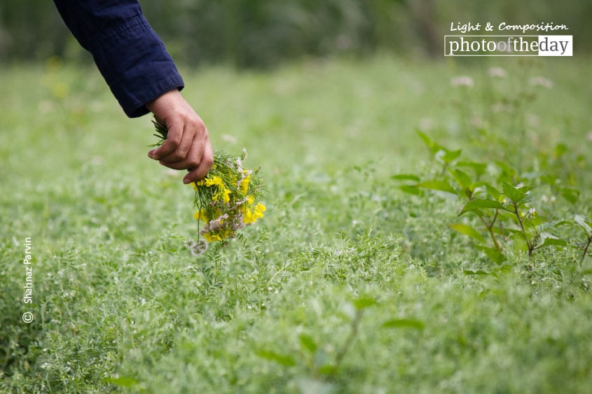 Made to Love Magic, by Shahnaz Parvin Made to Love Magic, by Shahnaz Parvin