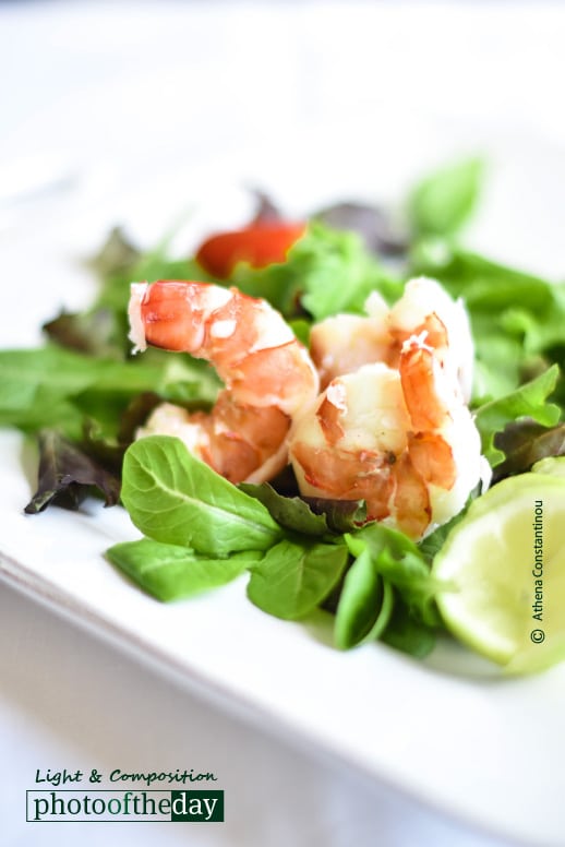 A Fish Called Wanda, by Athena Constantinou