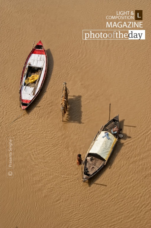 Hawk’s Eye, by Prasanta Singha